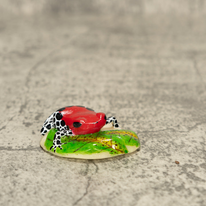 Red Black And White Poison Dart Frog Tagua Nut Carving
