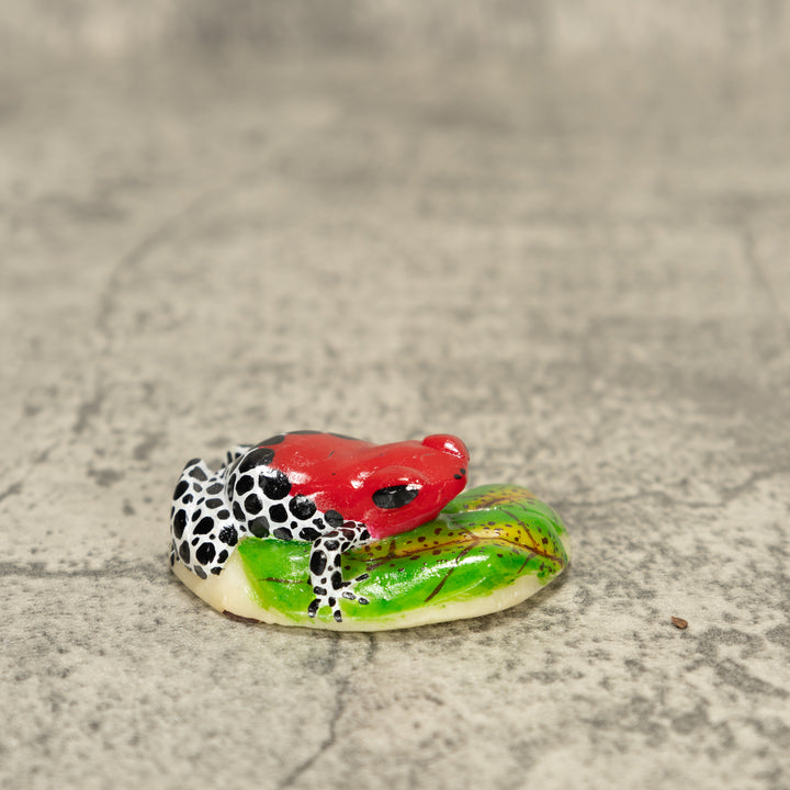 Red Black And White Poison Dart Frog Tagua Nut Carving