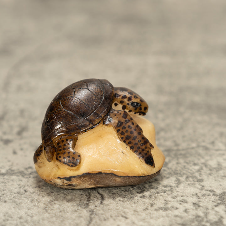 Sea Turtle Tagua Nut Carving