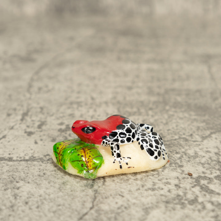 Red Black And White Poison Dart Frog Tagua Nut Carving
