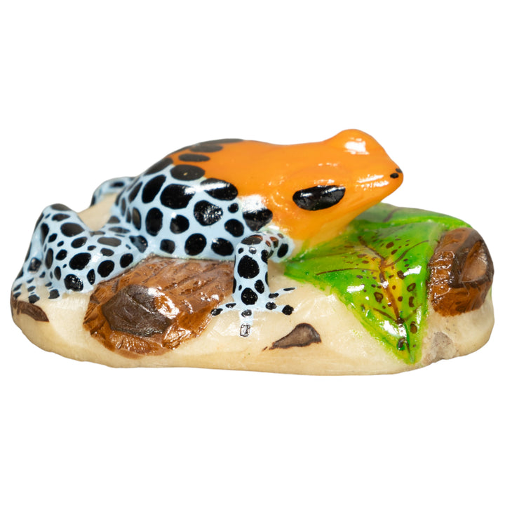 Orange Blue And Black Poison Dart Frog Tagua Nut Carving