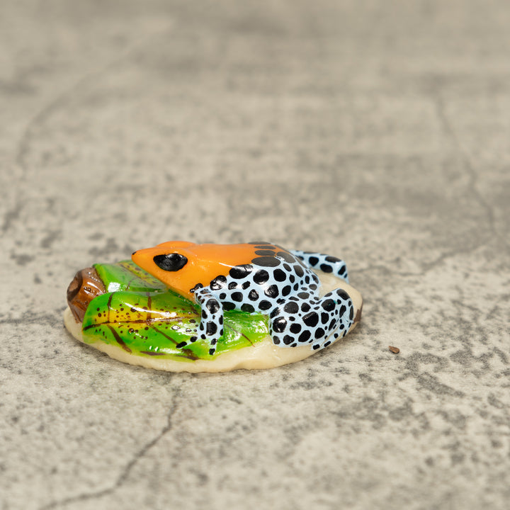 Orange Blue And Black Poison Dart Frog Tagua Nut Carving