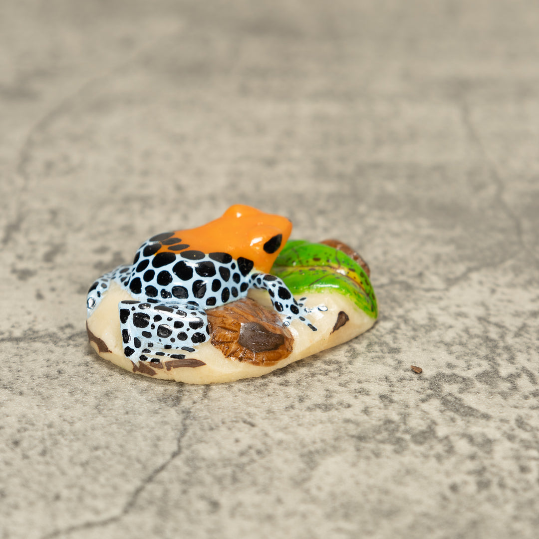 Orange Blue And Black Poison Dart Frog Tagua Nut Carving