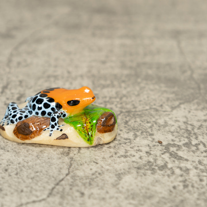 Orange Blue And Black Poison Dart Frog Tagua Nut Carving
