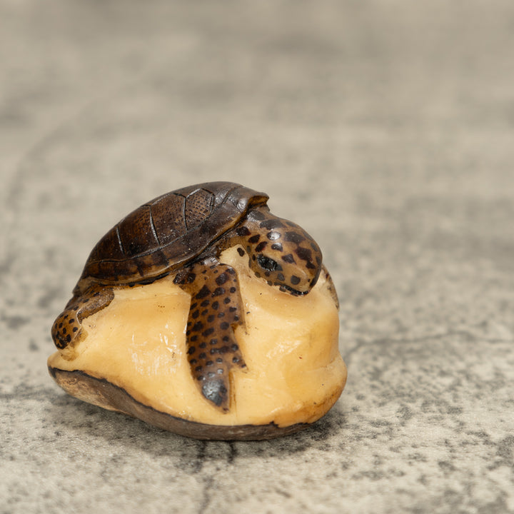 Sea Turtle Tagua Nut Carving