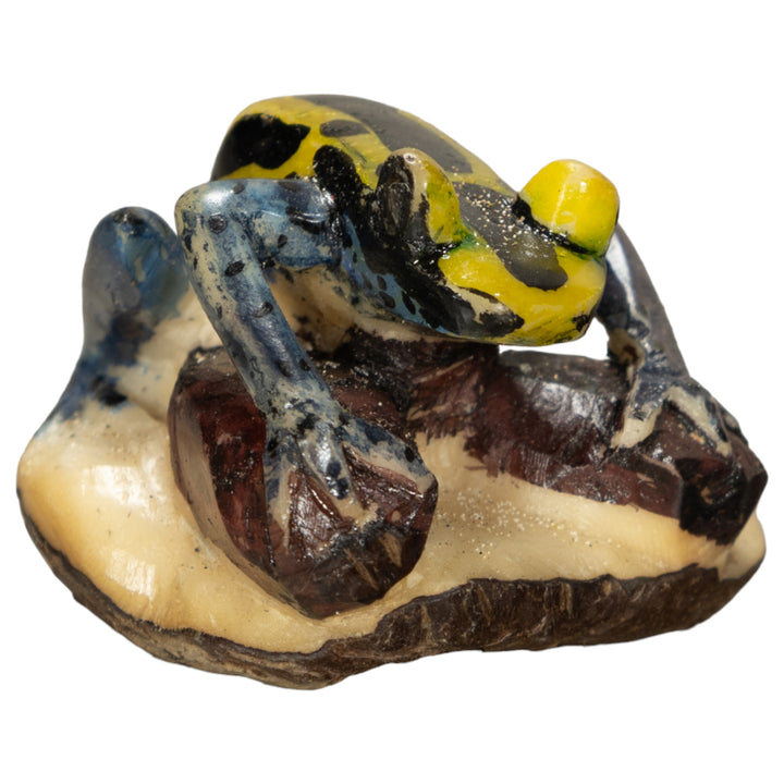 Poison Dart Frog Tagua Nut Carving