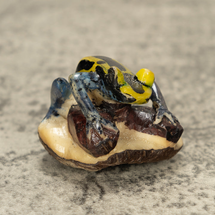 Poison Dart Frog Tagua Nut Carving