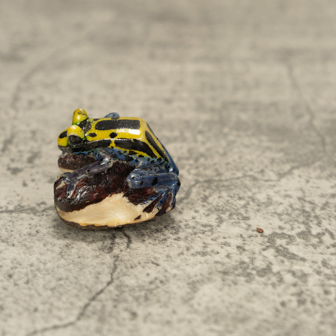 Poison Dart Frog Tagua Nut Carving