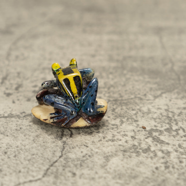 Poison Dart Frog Tagua Nut Carving