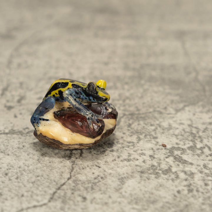 Poison Dart Frog Tagua Nut Carving
