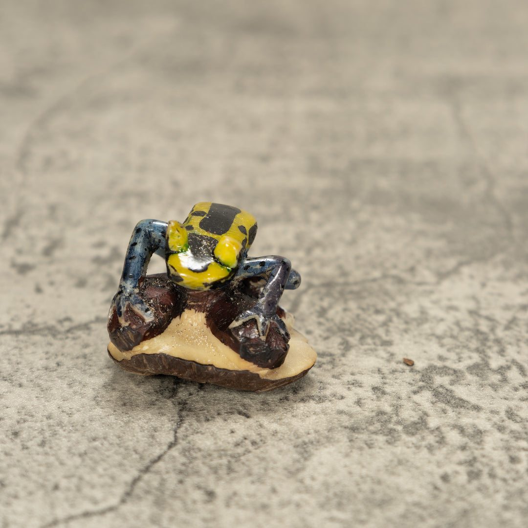 Poison Dart Frog Tagua Nut Carving