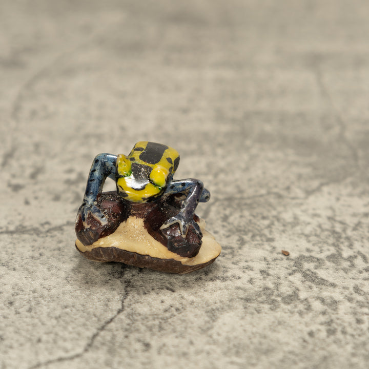 Poison Dart Frog Tagua Nut Carving