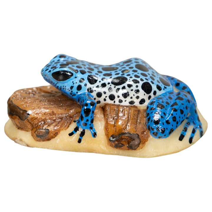 Blue Poison Dart Frog ON Log Tagua Nut Carving