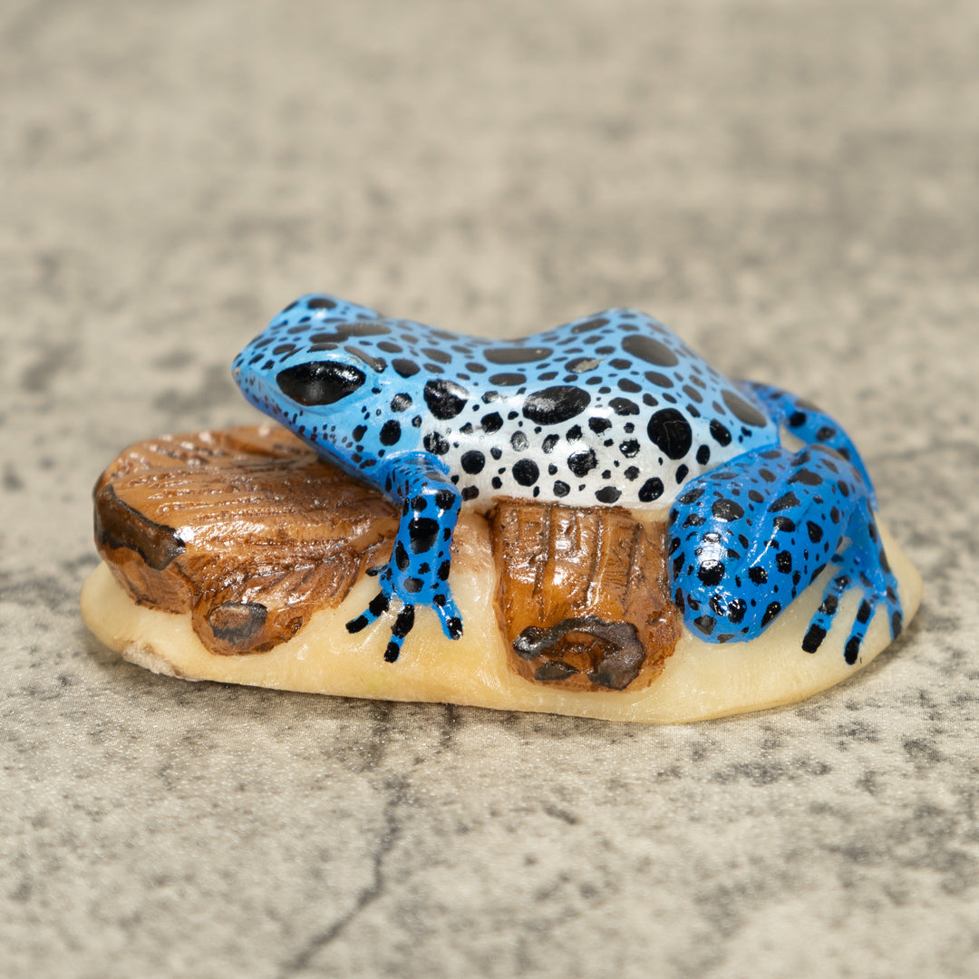 Blue Poison Dart Frog ON Log Tagua Nut Carving