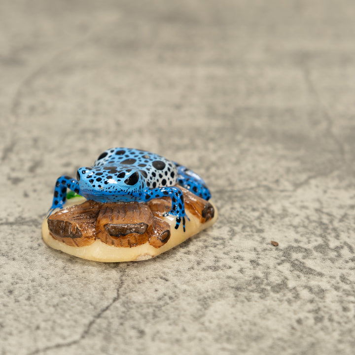 Blue Poison Dart Frog ON Log Tagua Nut Carving