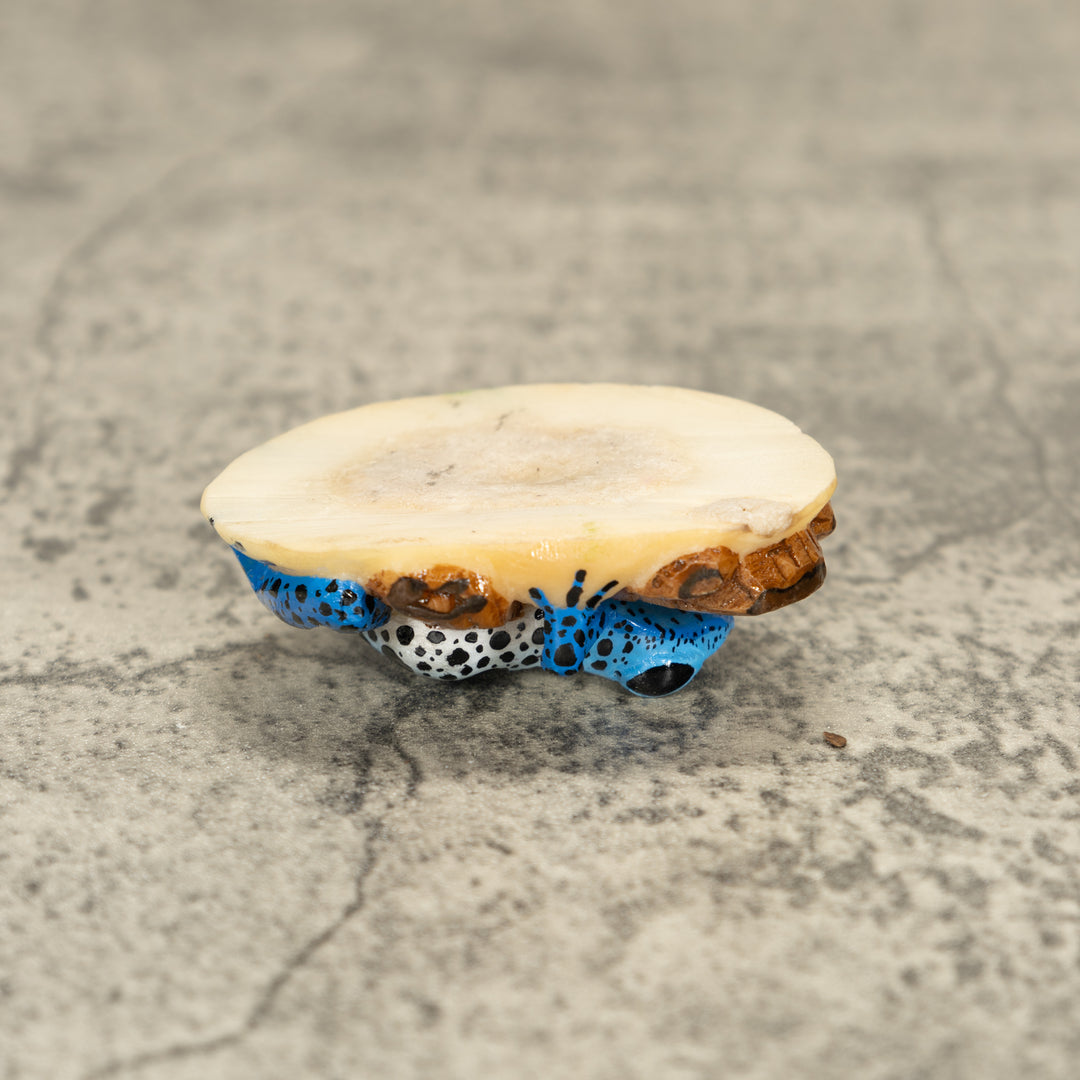 Blue Poison Dart Frog ON Log Tagua Nut Carving