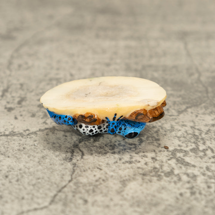 Blue Poison Dart Frog ON Log Tagua Nut Carving
