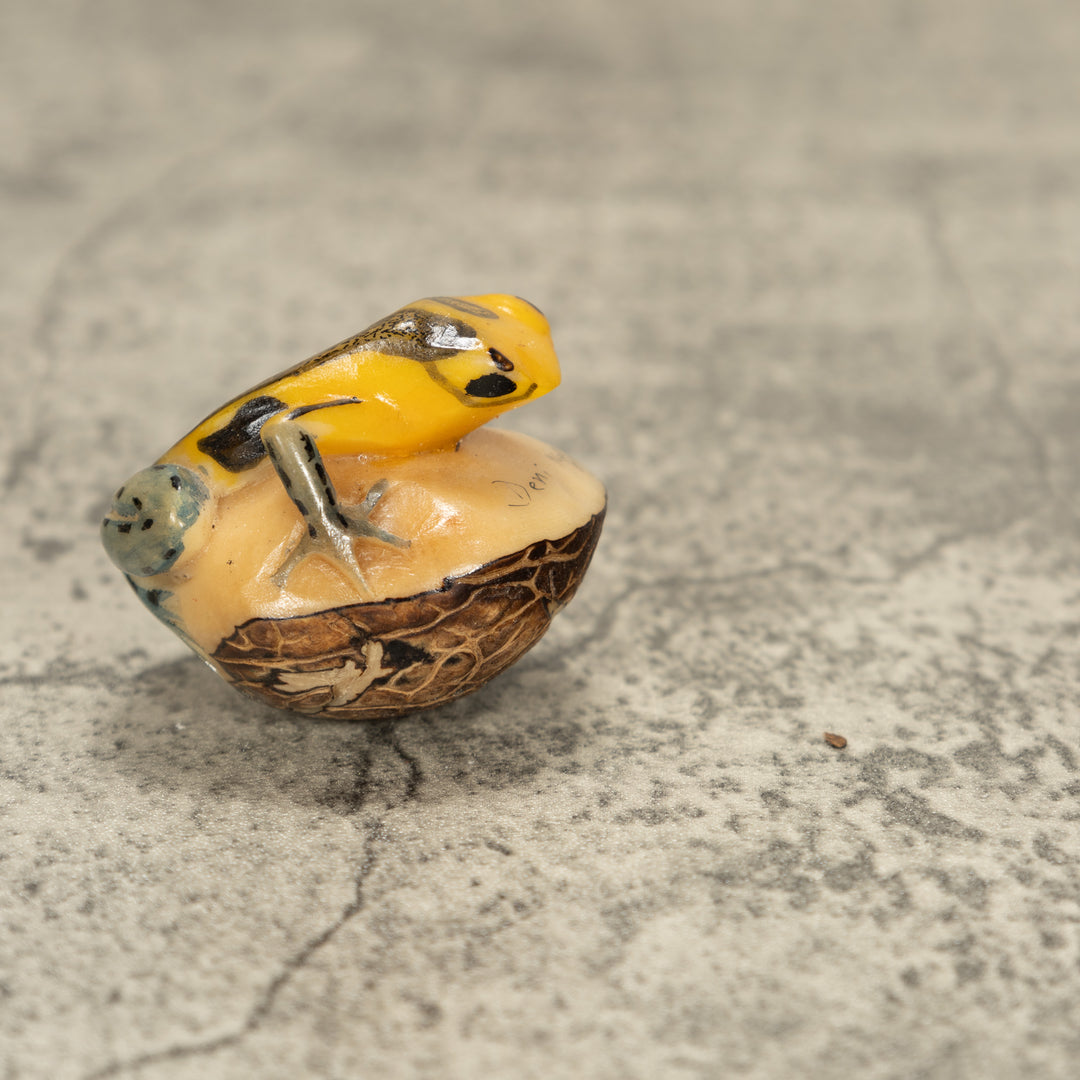 Poison Dart Frog Tagua Nut Carving