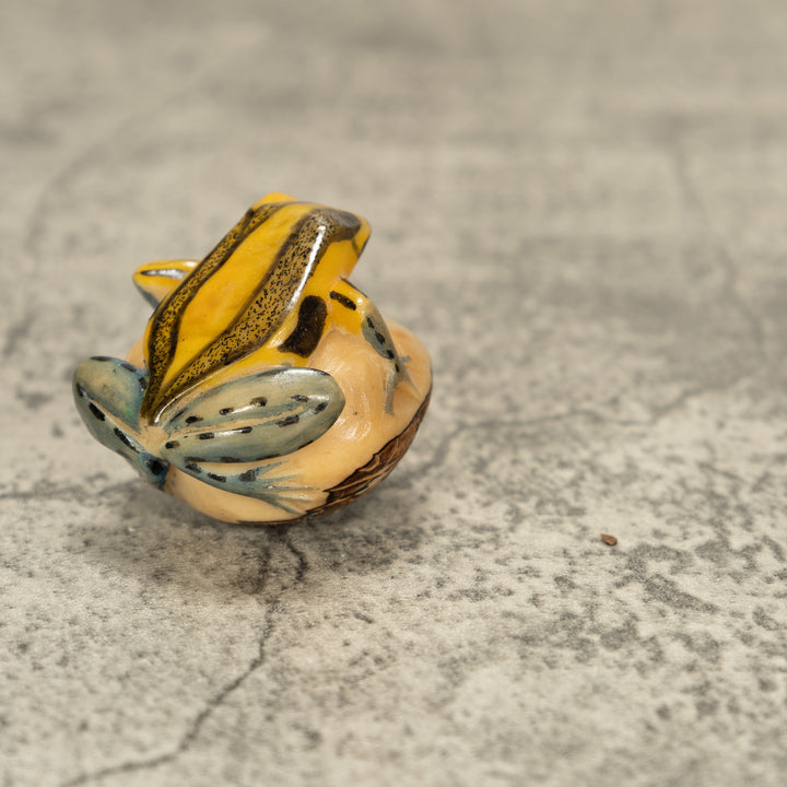 Poison Dart Frog Tagua Nut Carving