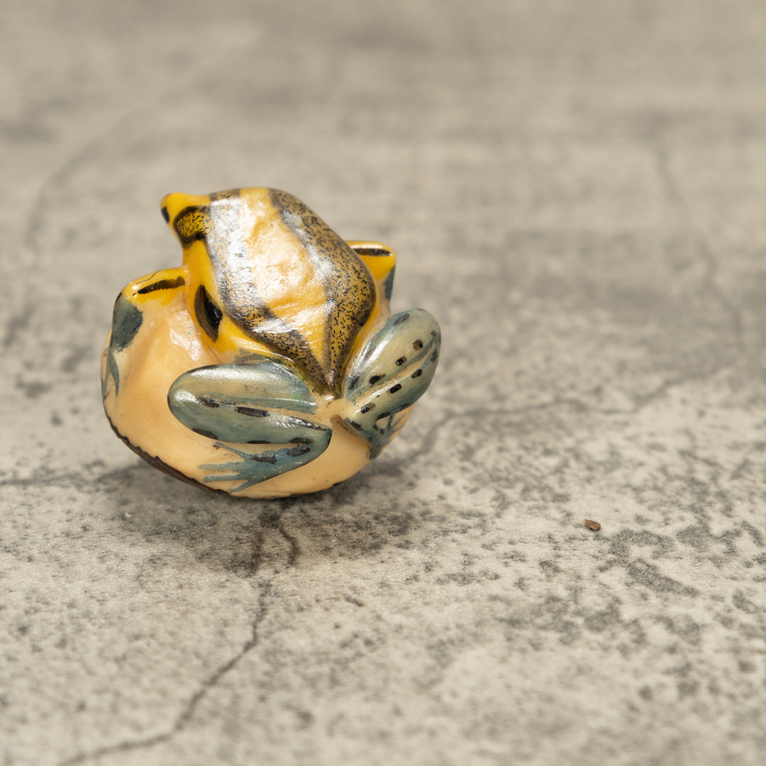 Poison Dart Frog Tagua Nut Carving