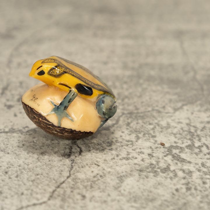 Poison Dart Frog Tagua Nut Carving