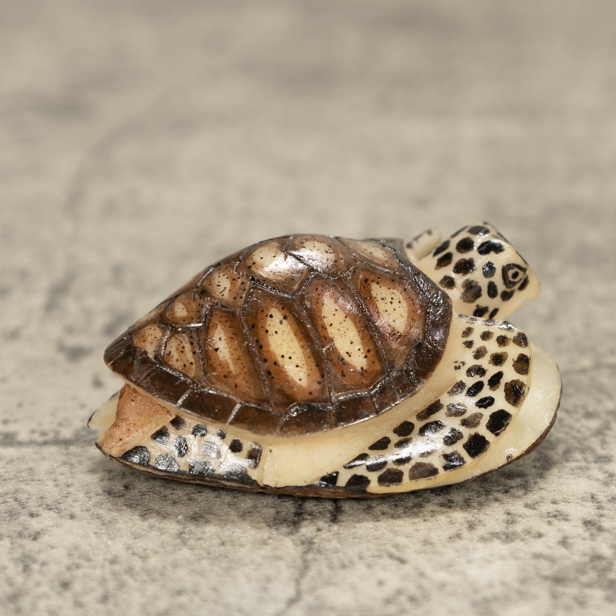 Sea Turtle Tagua Nut Carving