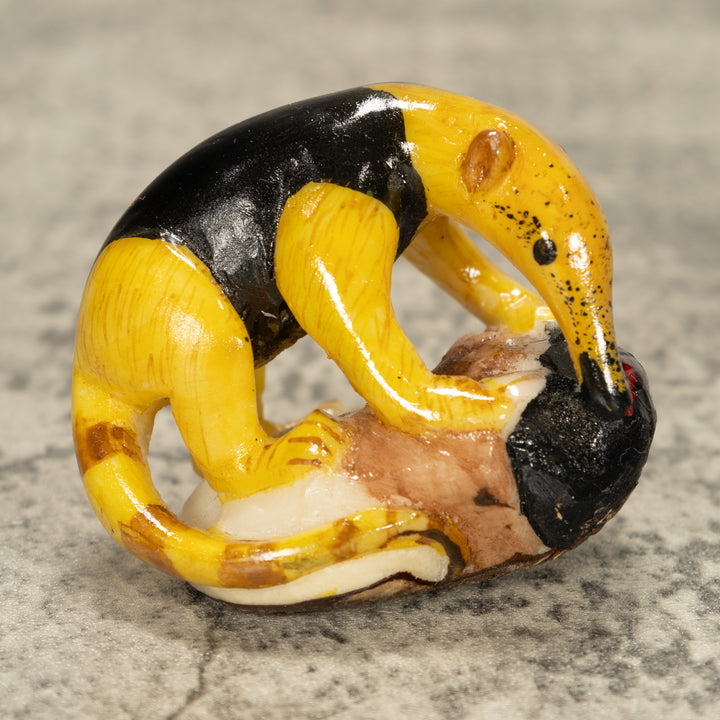 Anteater With Red Tongue Tagua Nut Carving