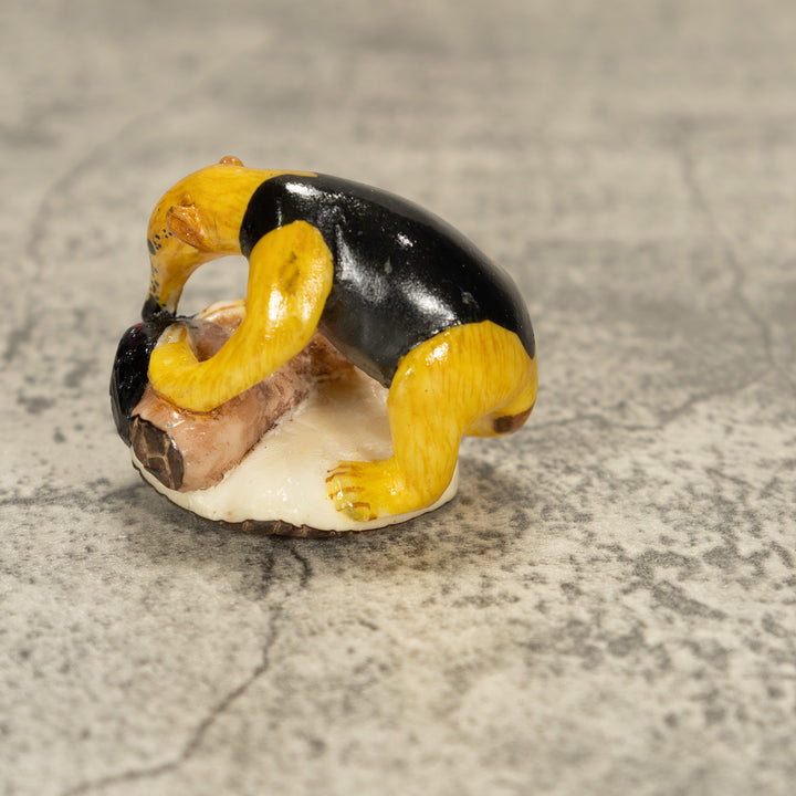 Anteater With Red Tongue Tagua Nut Carving