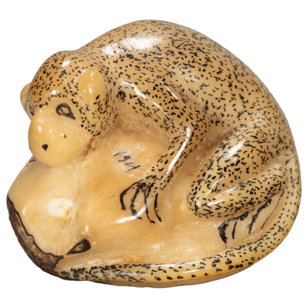 Rainforest Monkey Tagua Nut Carving