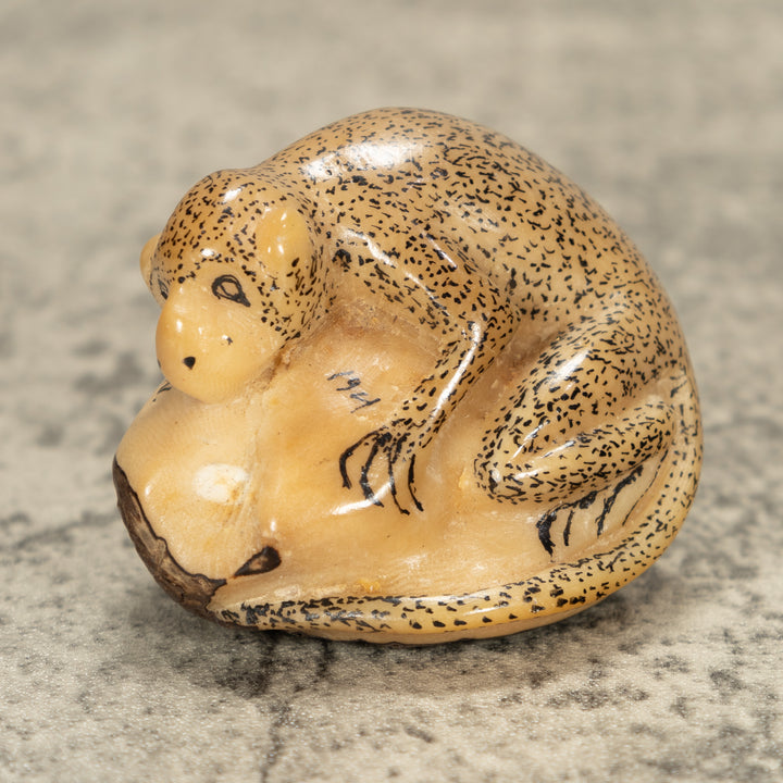 Rainforest Monkey Tagua Nut Carving