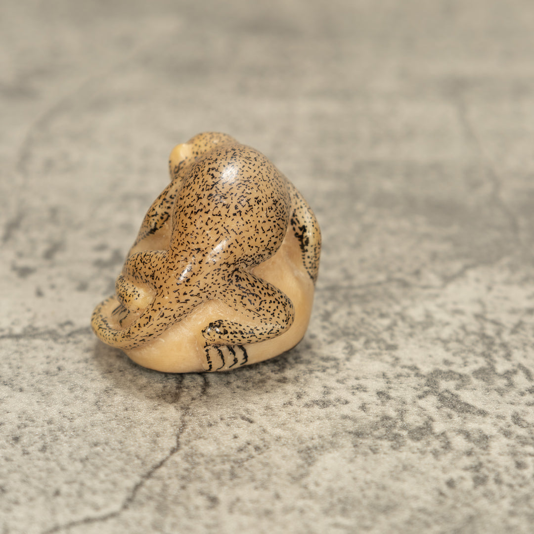 Rainforest Monkey Tagua Nut Carving