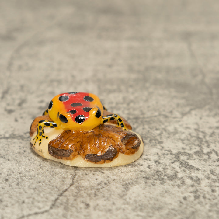 Red Poison Dart Frog On Log Tagua Nut Carving