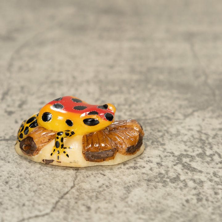 Red Poison Dart Frog On Log Tagua Nut Carving