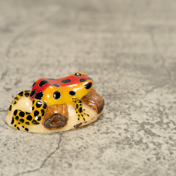 Red Poison Dart Frog On Log Tagua Nut Carving