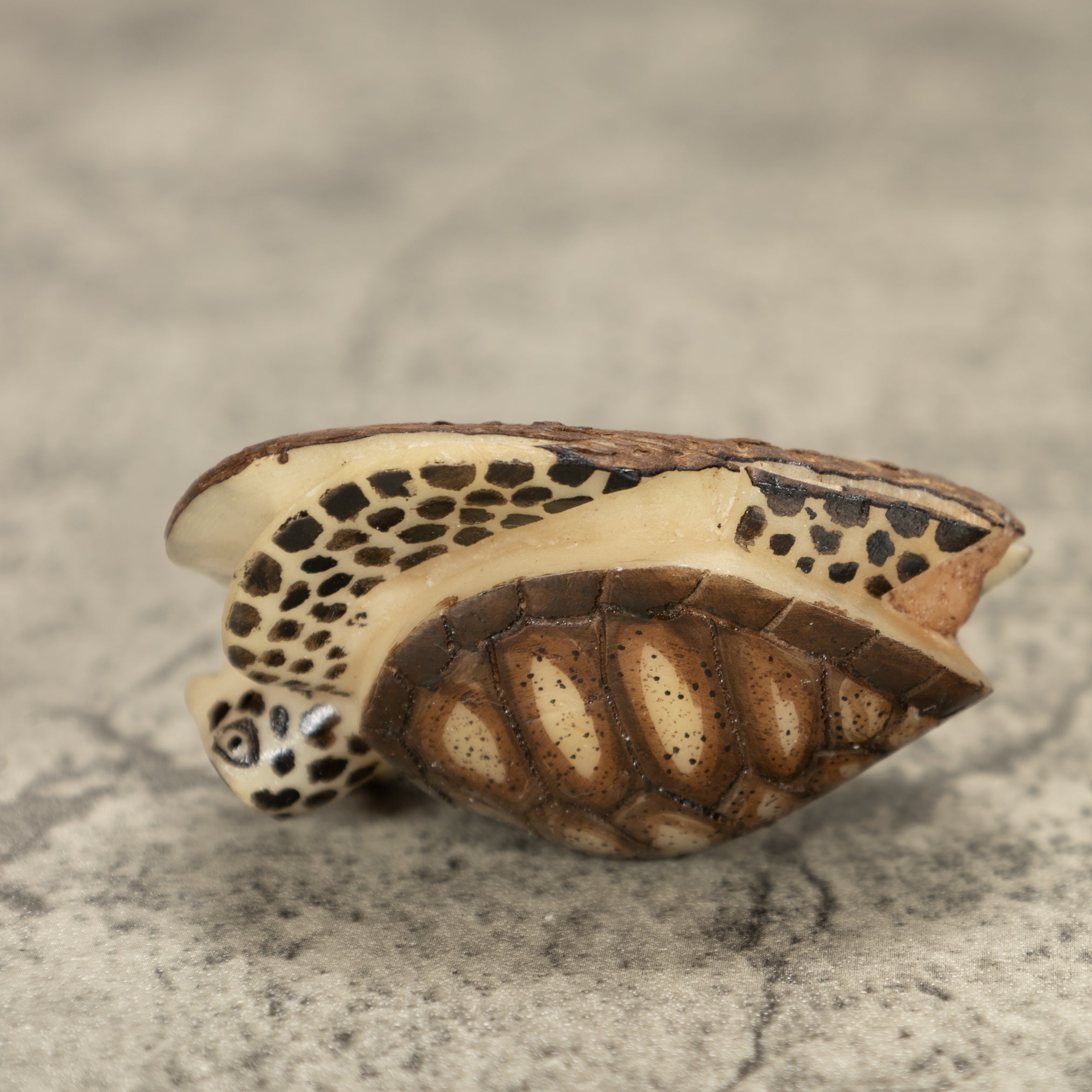 Sea Turtle Tagua Nut Carving