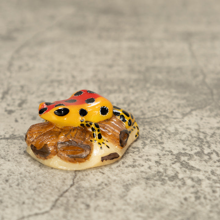 Red Poison Dart Frog On Log Tagua Nut Carving