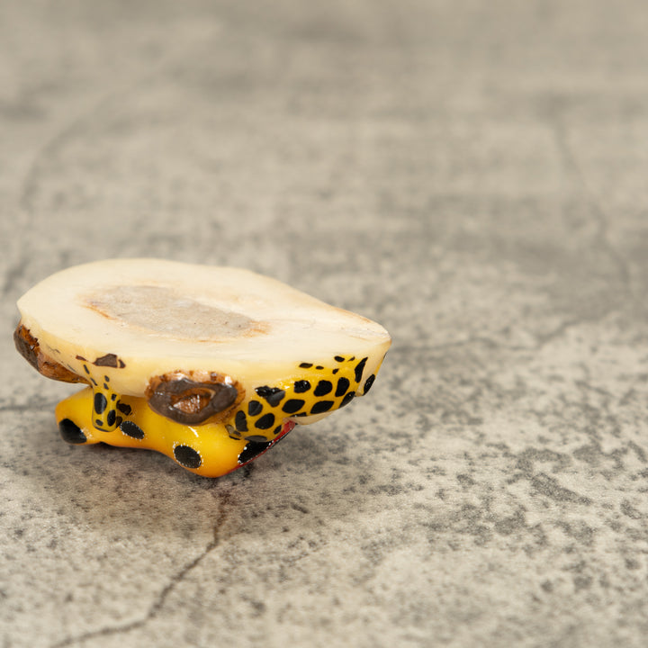 Red Poison Dart Frog On Log Tagua Nut Carving