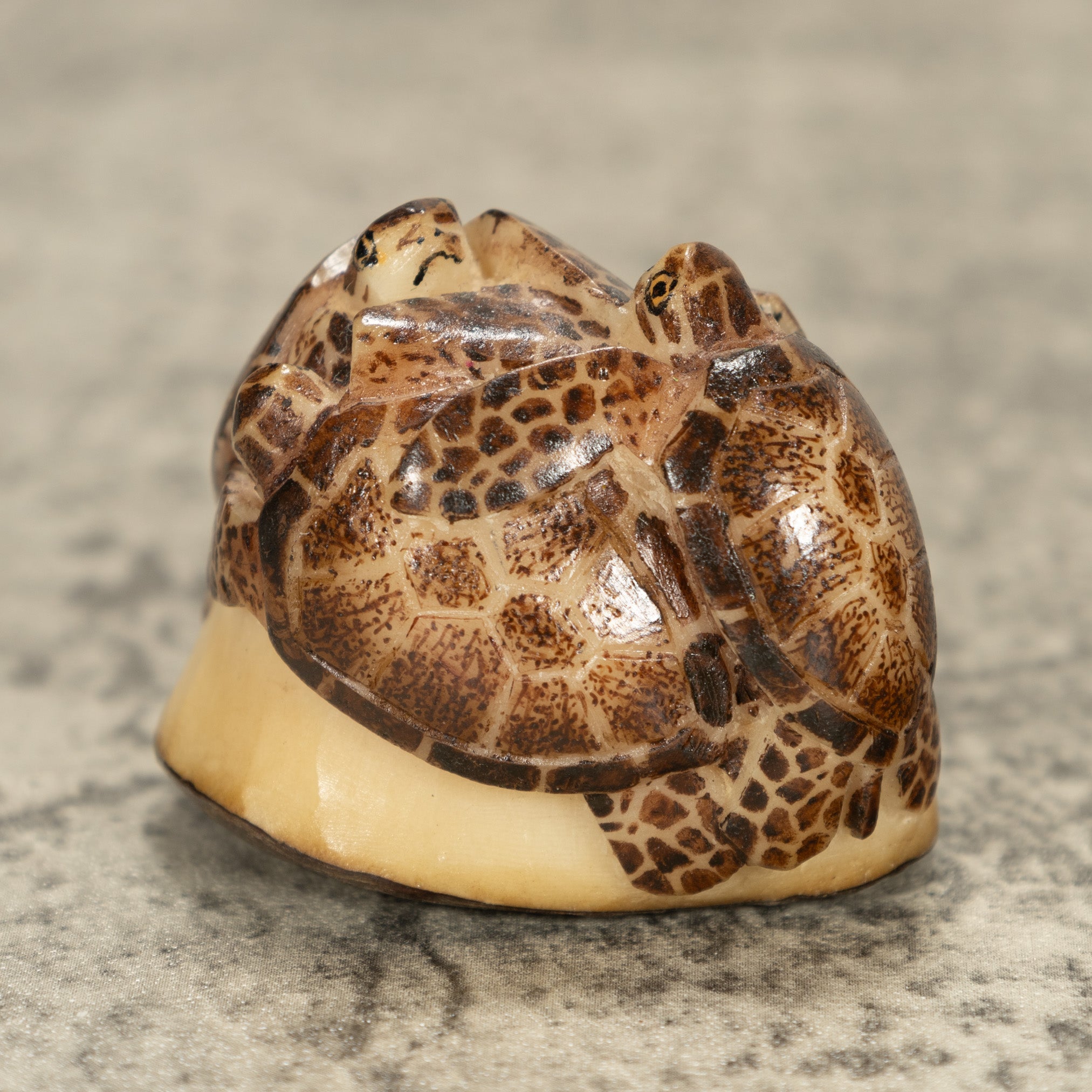 Four Sea Turtle Tagua Nut Carving