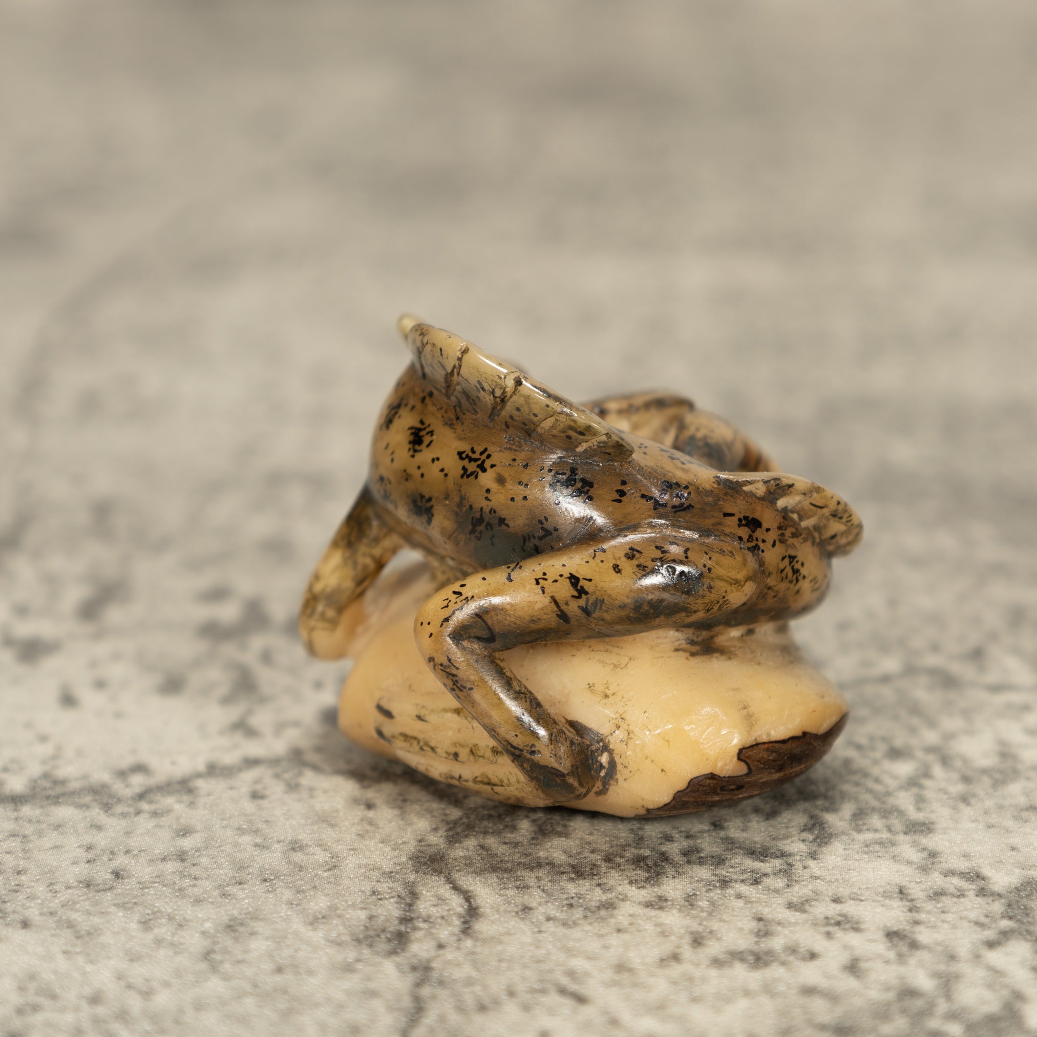 Jesus Lizard Tagua Nut Carving