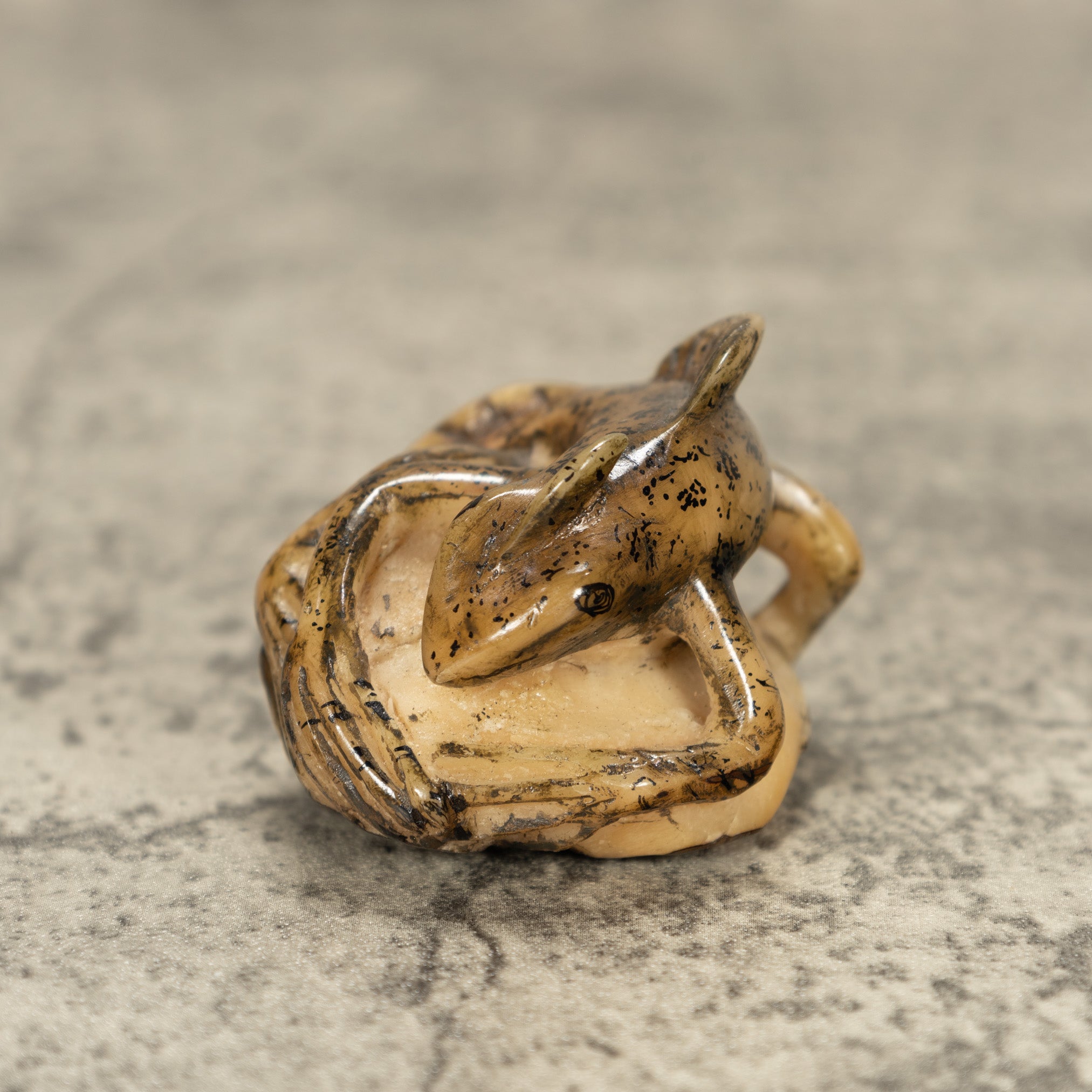 Jesus Lizard Tagua Nut Carving