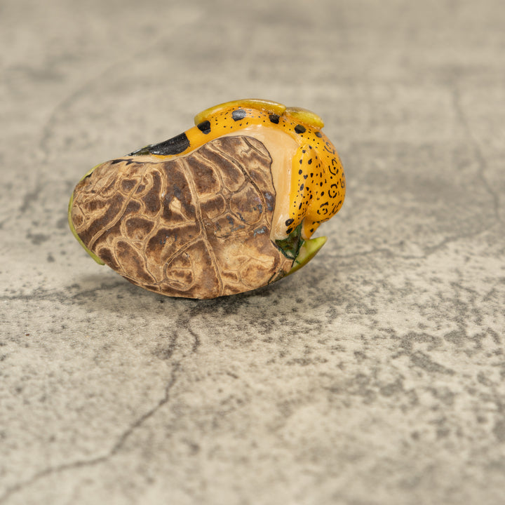 Ocelot Cat Tagua Nut Carving