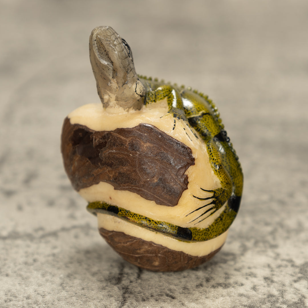 Iguana Lizard Tagua Nut Carving
