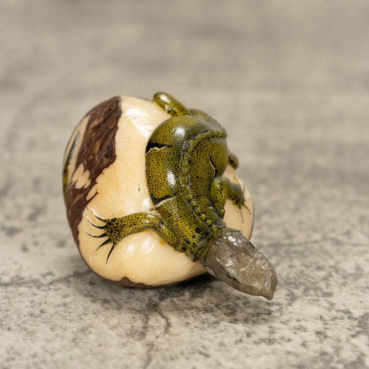 Iguana Lizard Tagua Nut Carving