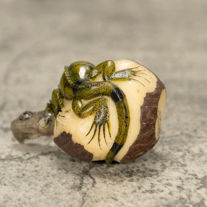 Iguana Lizard Tagua Nut Carving