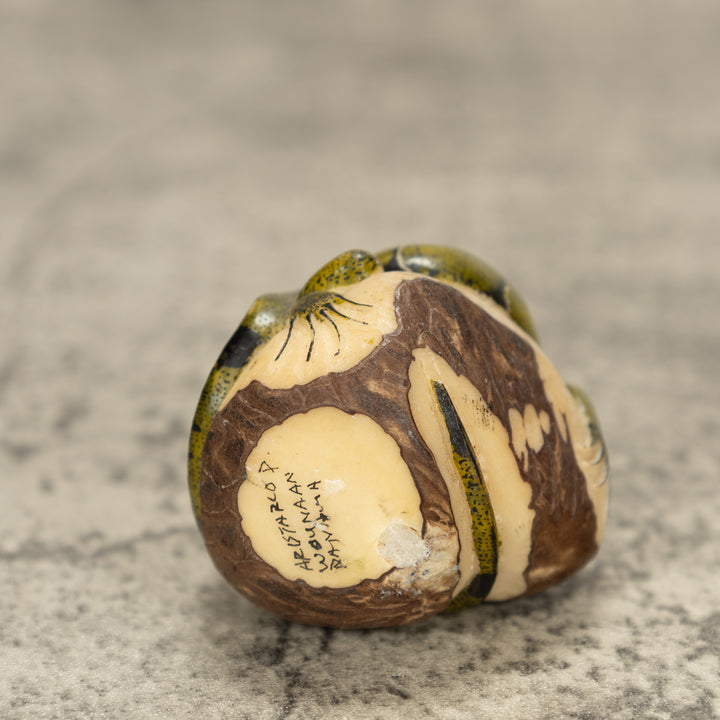 Iguana Lizard Tagua Nut Carving