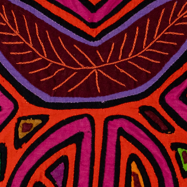 Orange And Purple Tropical Fruit Mola