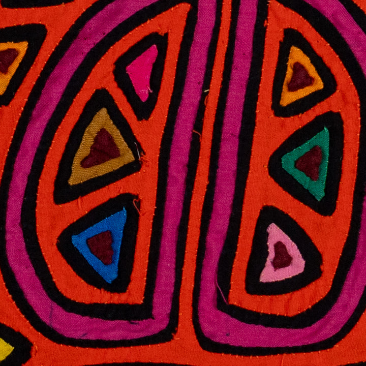 Orange And Purple Tropical Fruit Mola