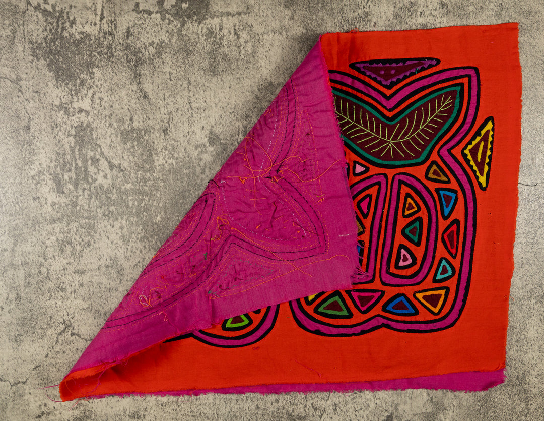 Orange And Purple Tropical Fruit Mola