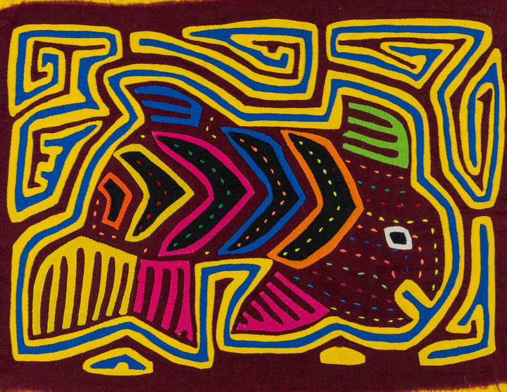Maroon And Yellow Rainbow Tuna Fish Mola
