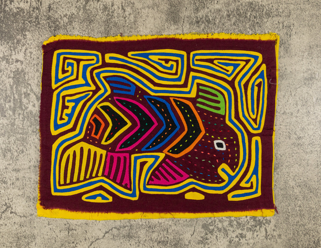Maroon And Yellow Rainbow Tuna Fish Mola
